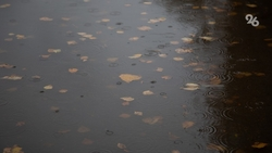 Дождь в течение дня ожидается в Пятигорске 26 октября