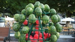 За время фестиваля в Кисловодске собрали около 500 тыс. рублей в поддержку СВО