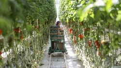 Планы по развитию экспорта до 2030 года утвердили на Ставрополье