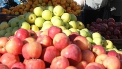 Более 3 тыс. рейдов по местам стихийной торговли прошли на Ставрополье