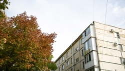 Малооблачная погода ожидается в Пятигорске 11 ноября