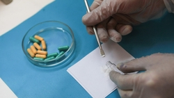 13 сайтов с наркотиками заблокируют на Ставрополье