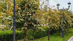 Автор детективов Татьяна Устинова встретилась с пятигорчанами на «Осеннем культурном марафоне»