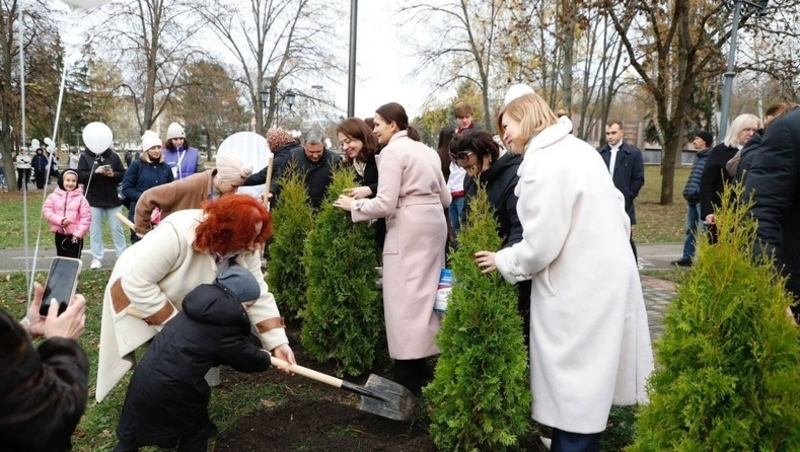 Саженцы туй посадят 16 декабря на Аллее Материнской славы в Пятигорске
