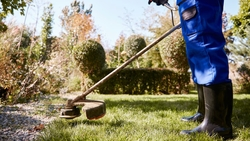 В Пятигорске начнут штрафовать за заросшие травой участки