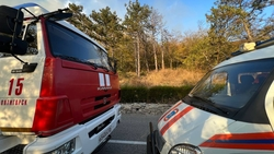 Пожарные потушили два крупных возгорания на Машуке