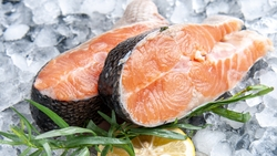 Более тонны форели неизвестного происхождения из Пятигорска оказалось в магазинах Самары 