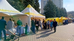 Продовольственная ярмарка пройдёт в Пятигорске 18 октября