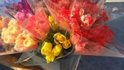 Цветочную ярмарку организовали в Пятигорске к 8 Марта