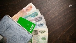 Пятигорчанин заплатил 700 тыс. уголовного штрафа после вмешательства приставов