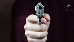 Мужчина застрелил соседского кота в Пятигорске