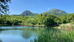 Ясную погоду прогнозируют в Пятигорске 10 октября