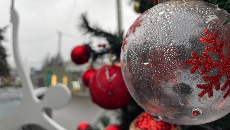 Пришёл декабрь, да без снега: первый зимний фоторепортаж из Пятигорска