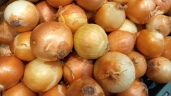 Первую зимнюю продовольственную ярмарку проведут в Пятигорске 13 декабря