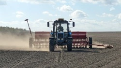 Глава Ставрополья: 1 млн га полей в регионе отвели под яровые