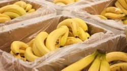 Первая в 2026 году городская ярмарка состоится в Пятигорске 21 февраля