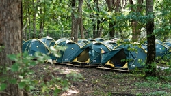 Губернатор Владимиров поставил задачу усилить меры безопасности на форуме «Машук»