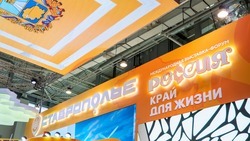 Более 650 тыс. человек стали посетителями павильона Ставропольского края на выставке в Москве 