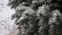 Сильный ветер и утренние осадки ожидают Пятигорск 18 января