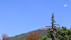 Пятигорск ждёт гостей на «Лермонтовские сезоны-2025»