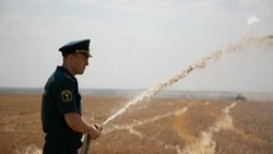 Особый противопожарный режим ввели на Ставрополье до 30 сентября — губернатор