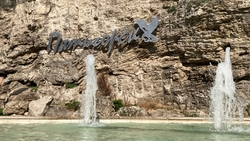 Губернатор Владимиров: Курсбор принёс Ставропольскому краю 1,7 млрд рублей