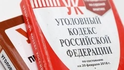 Срок заключения экс-главе УГИБДД по Ставрополью Сафонову оставили без изменения