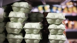 Цена на яйца понизилась на 2,5% на Ставрополье за неделю