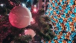 Число новогодних ёлок увеличили в 2023 году в Пятигорске