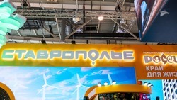 Неделю промышленности и строительства проводят на стенде Ставрополья в Москве