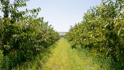 «Школа Агротуризма» пройдёт в Пятигорске с 13 по 15 июня