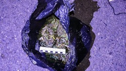 Полиция Пятигорска нашла марихуану у остановленного на дороге скутериста