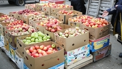 Продовольственная ярмарка состоится в Пятигорске 28 октября 