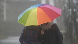 Дождь со снегом ожидается в Пятигорске 7 декабря