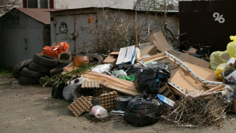 На Ставрополье объявят аукционы на вывоз мусора на 2,2 млрд рублей
