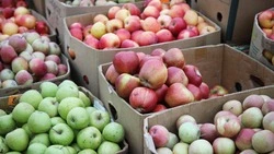 Осенняя ярмарка пройдёт в Пятигорске 16 сентября