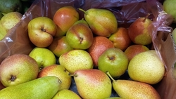 Продовольственная ярмарка пройдёт в Пятигорске 18 февраля