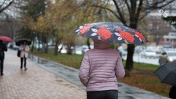 Дождь ожидается в Пятигорске 25 апреля