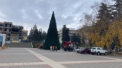 Установку и украшение новогодней ёлки начали в Пятигорске