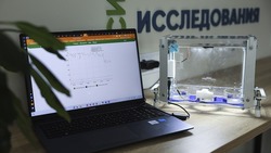 Учёные Ставрополья создали систему для «Умной теплицы» с машинным обучением