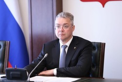 Владимир Владимиров возглавит региональную комиссию по мобилизации
