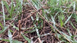 Температура воздуха опустится до +9 градусов в Пятигорске 30 сентября