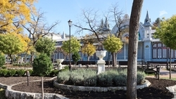 В Пятигорске снимали самый кассовый фильм в российском прокате — «Чебурашку»