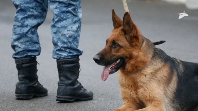 Сообщения о минировании поступили в некоторые школы Пятигорска