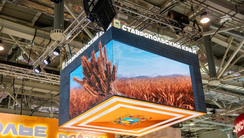 Ставрополье стало лауреатом программы «Классная страна»