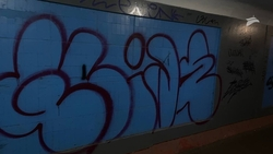 В 2022 году на Ставрополье отработали 77 сообщений о граффити с информацией о наркоплощадках