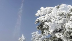 Дождливую погоду и снег ожидают синоптики в Пятигорске 20 февраля