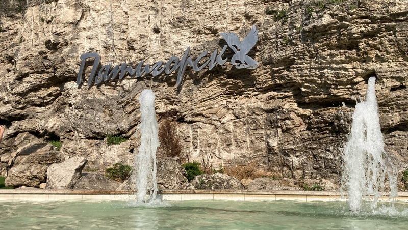 Губернатор Владимиров: Курсбор принёс Ставропольскому краю 1,7 млрд рублей