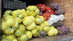 Мусульмане Ставрополья отправили тонну посылок бойцам СВО