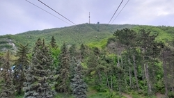 Более 18 тыс. семей на Ставрополье получили ежемесячные выплаты на детей по нацпроекту